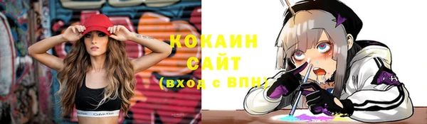 прущие грибы Наволоки