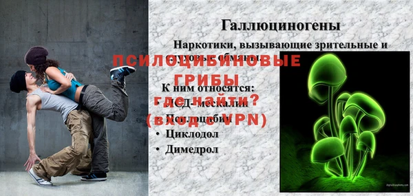 прущие грибы Наволоки