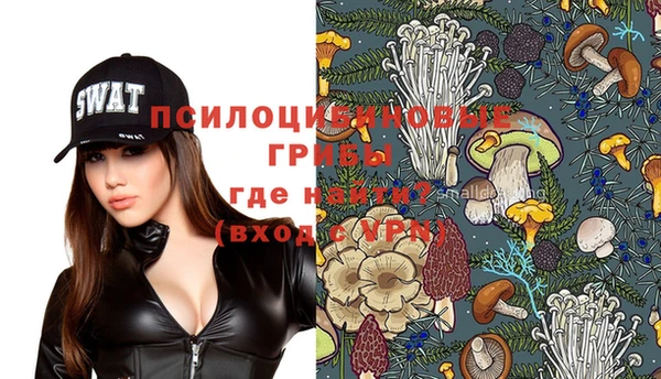прущие грибы Наволоки