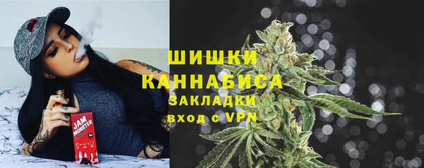 прущие грибы Наволоки