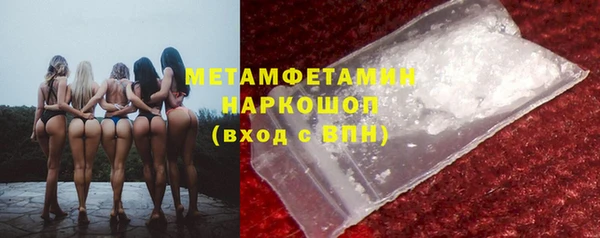 прущие грибы Наволоки